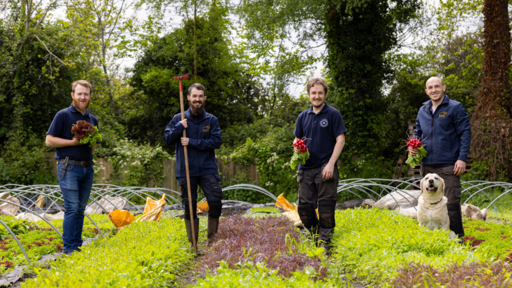 The Gnomes, sustainable market gardening at DCU