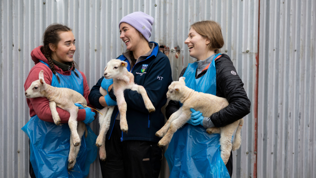 UCD Students at Lyons Farm