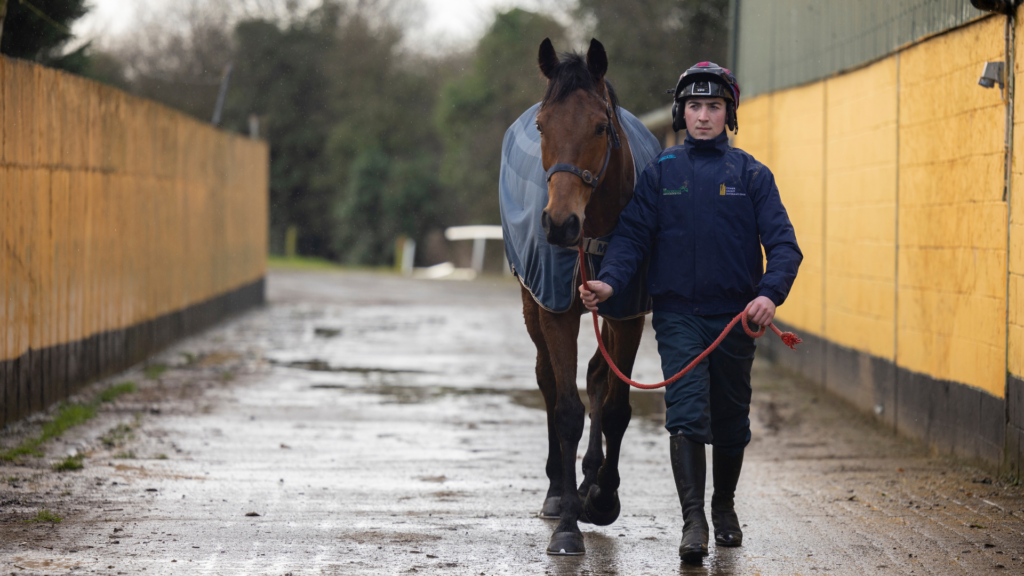 UL final year student, sports scholar and jockey, Mark McDonagh